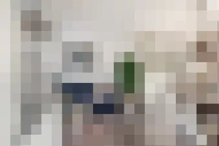 Witte Duifstraat 17 Krommenie thumbnail 5