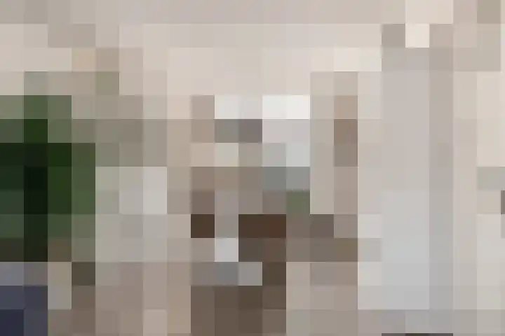 Witte Duifstraat 17 Krommenie thumbnail 6