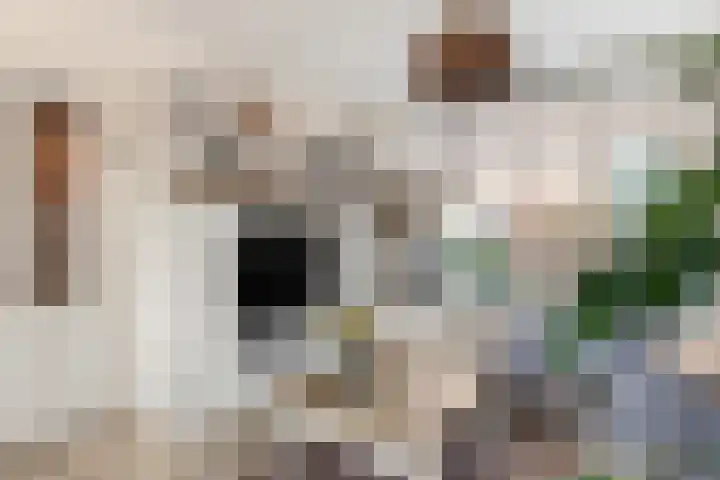 Witte Duifstraat 17 Krommenie thumbnail 7