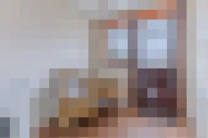 Witte Duifstraat 3 Krommenie thumbnail 23