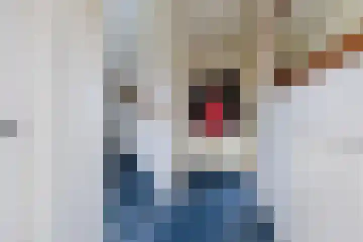 Witte Duifstraat 3 Krommenie thumbnail 5