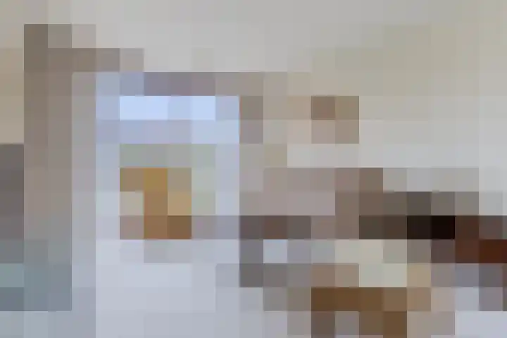 Witte Duifstraat 3 Krommenie thumbnail 7