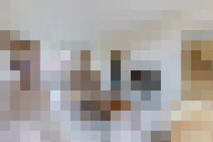 Witte Duifstraat 3 Krommenie thumbnail 8