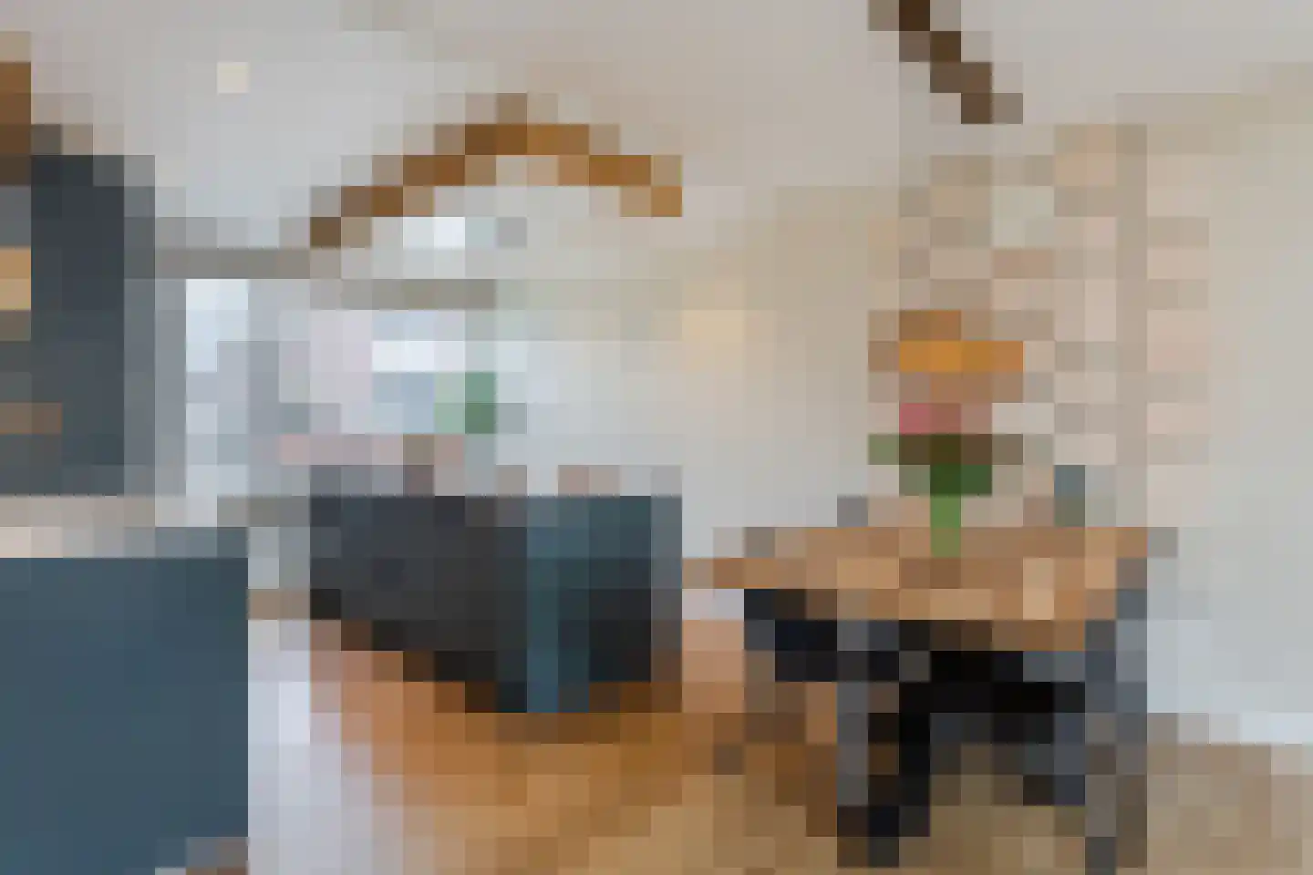 Witte Duifstraat 42 Krommenie thumbnail 12