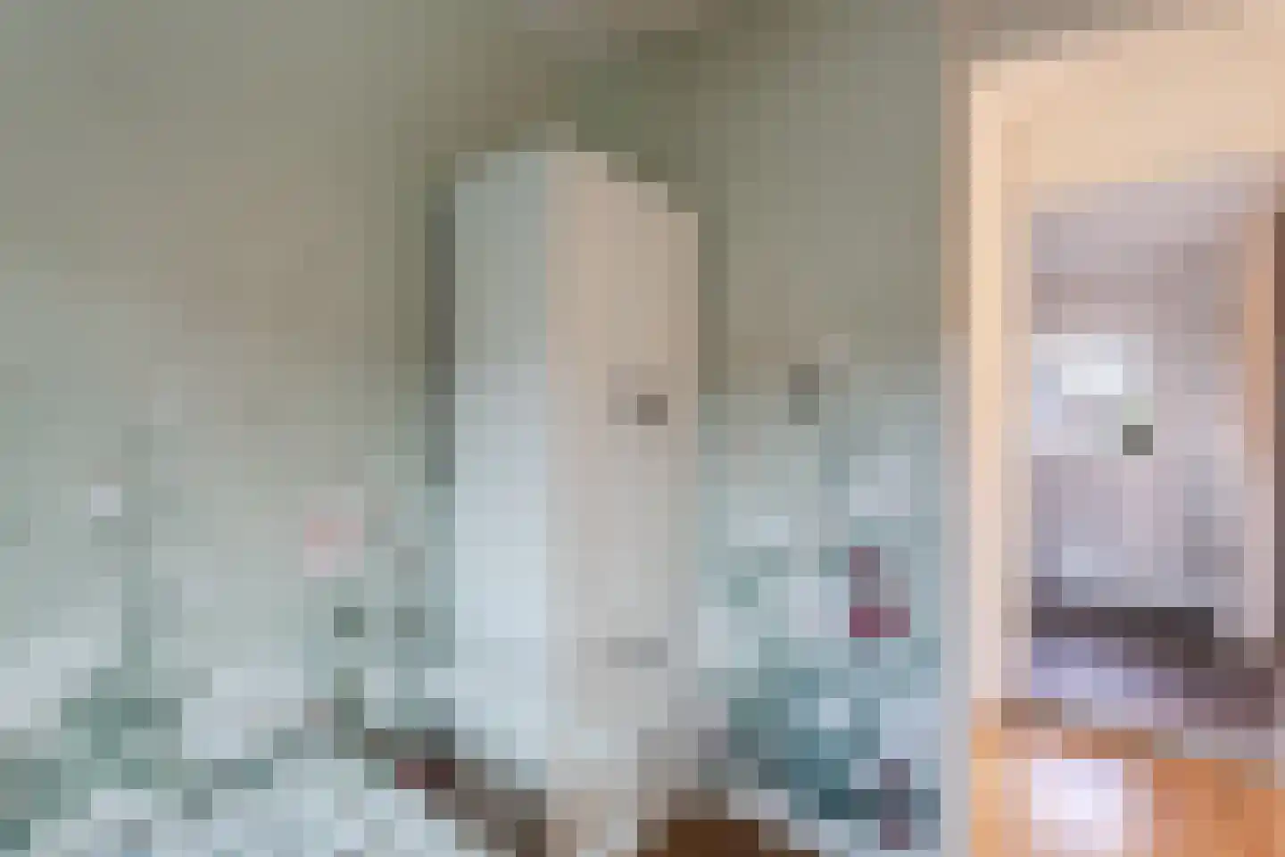 Witte Duifstraat 42 Krommenie thumbnail 26