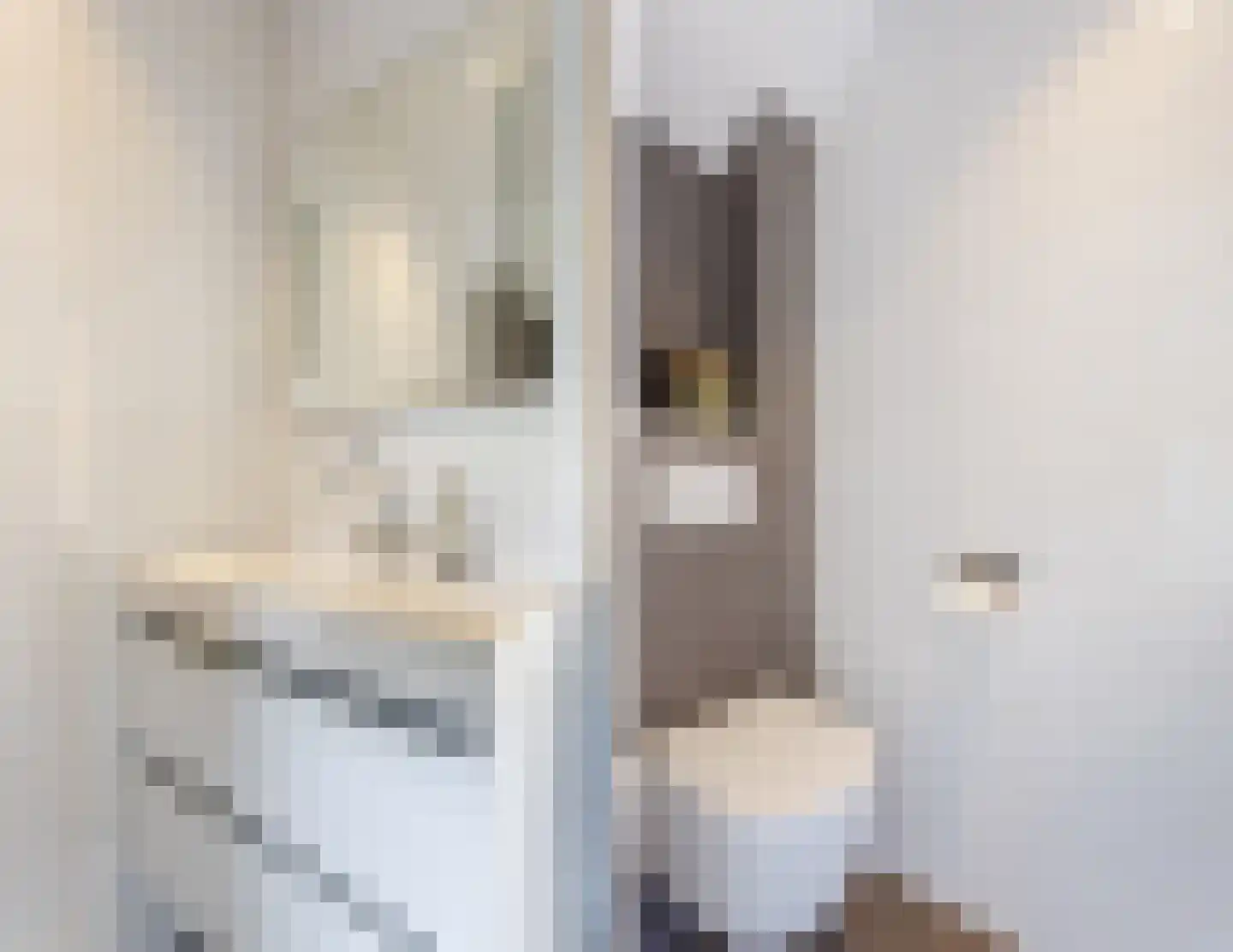 Witte Duifstraat 42 Krommenie thumbnail 35