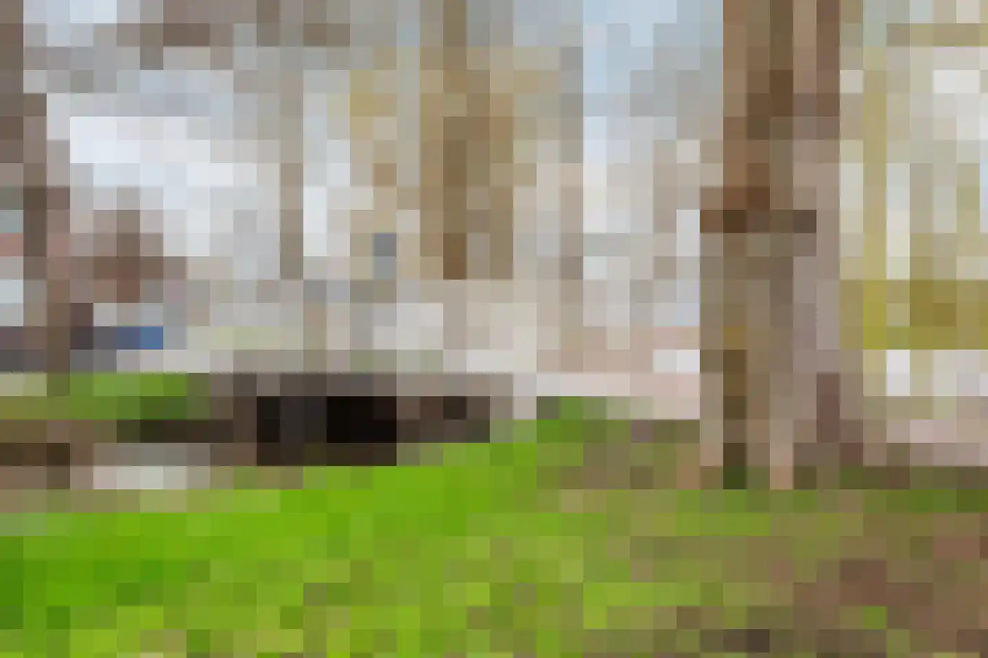 Witte Duifstraat 42 Krommenie thumbnail 41