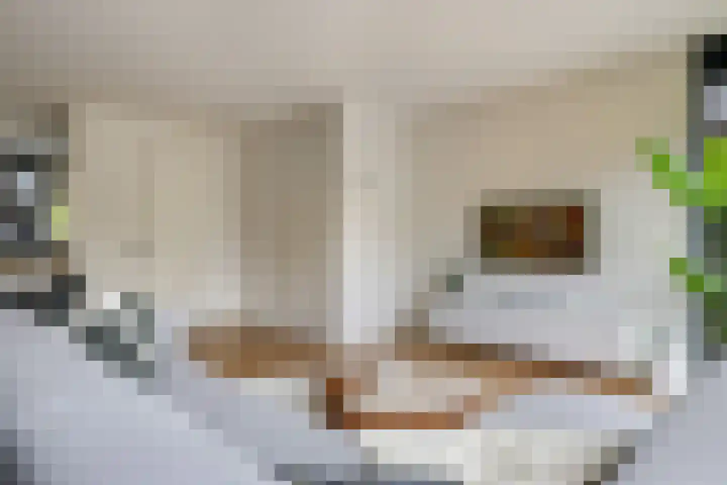 Witte Emille 18 Huissen thumbnail 20