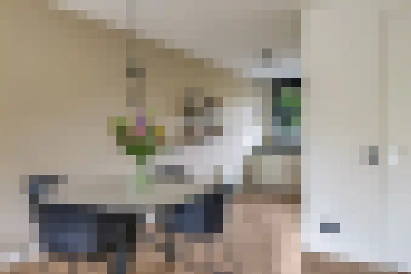 Witte Emille 18 Huissen thumbnail 21