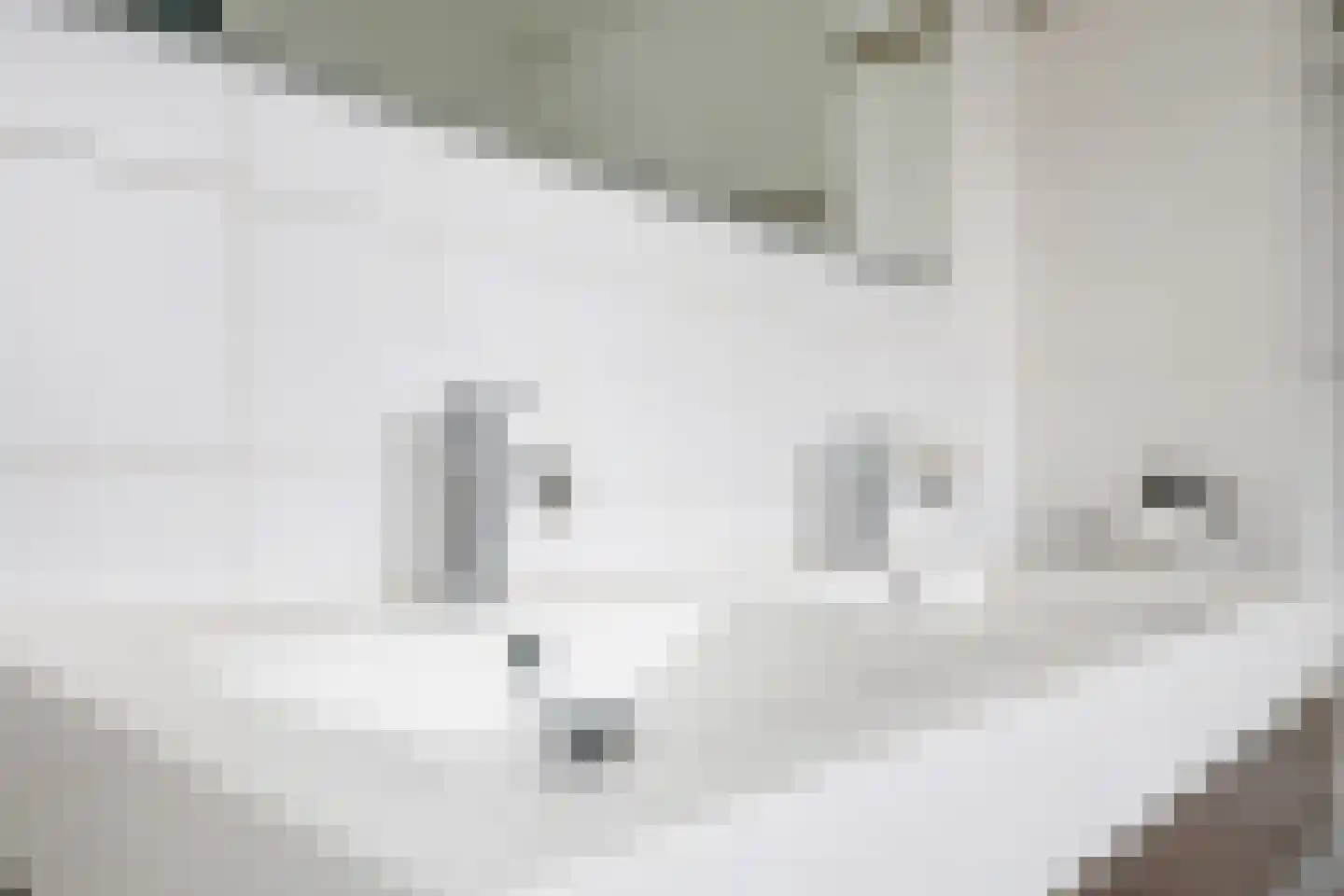 Witte Emille 18 Huissen thumbnail 37
