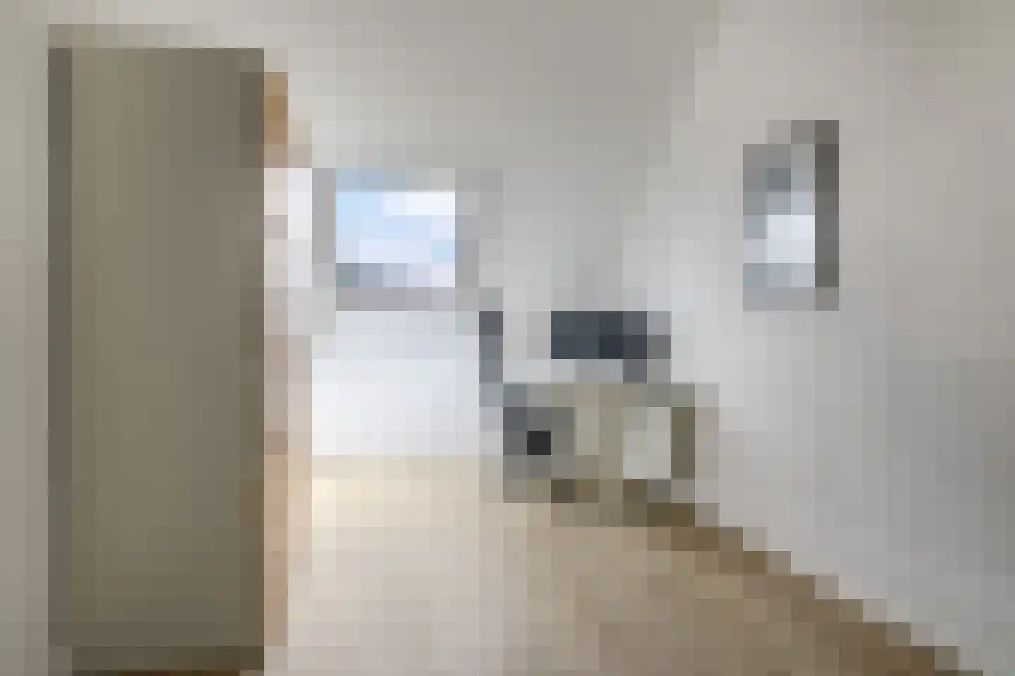 Witte Emille 18 Huissen thumbnail 41