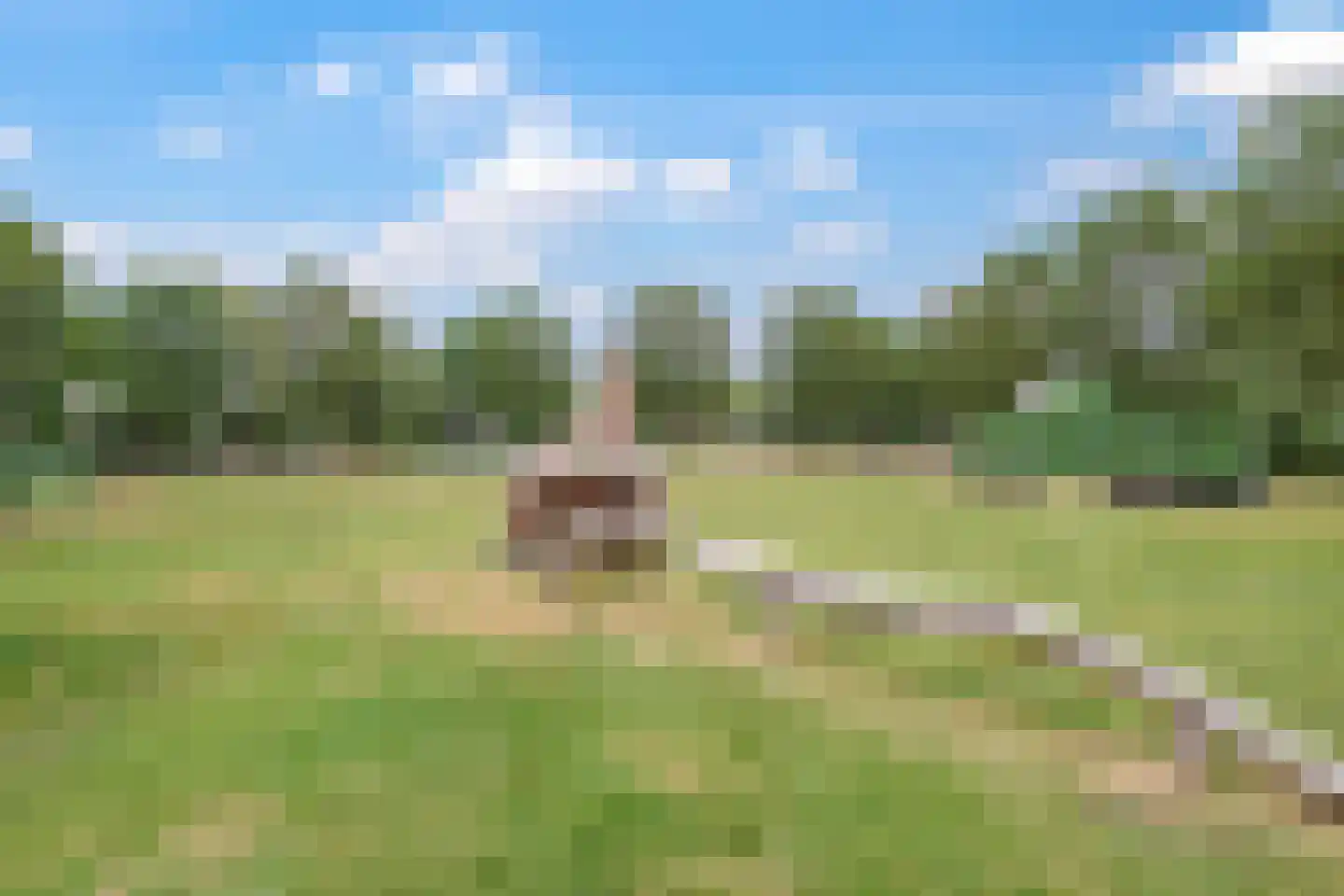 Witte Emille 18 Huissen thumbnail 63