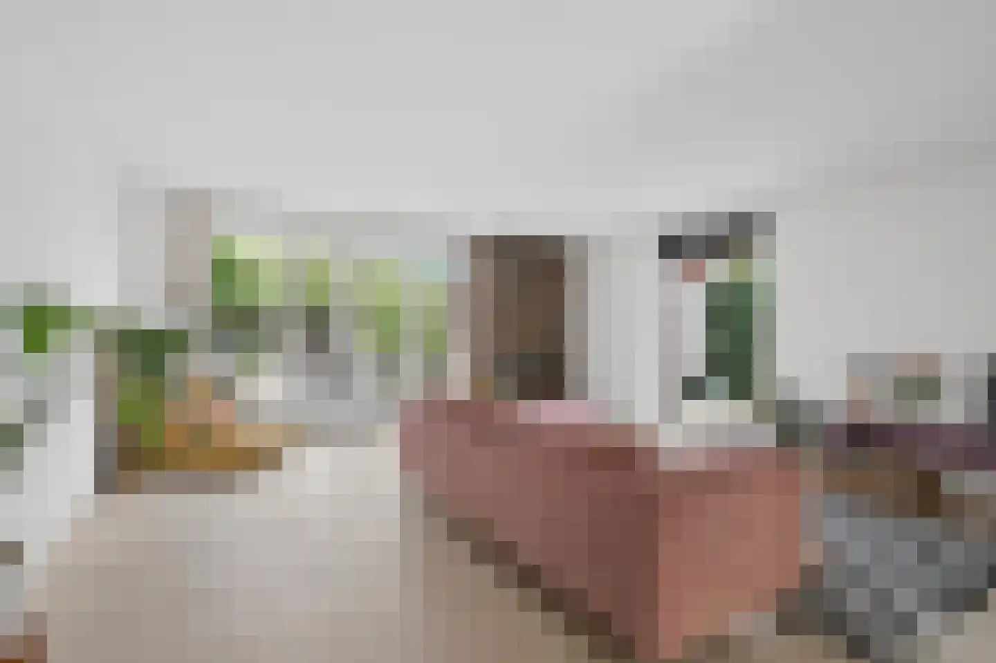 Witte Emille 7 Huissen thumbnail 10
