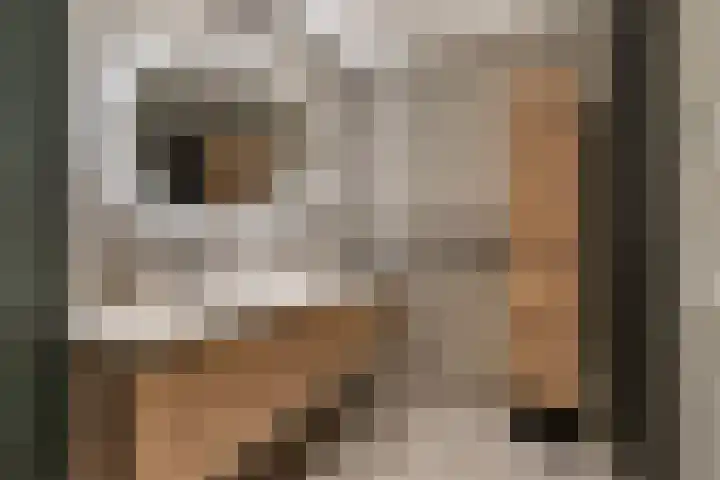 Witte Emille 7 Huissen thumbnail 13