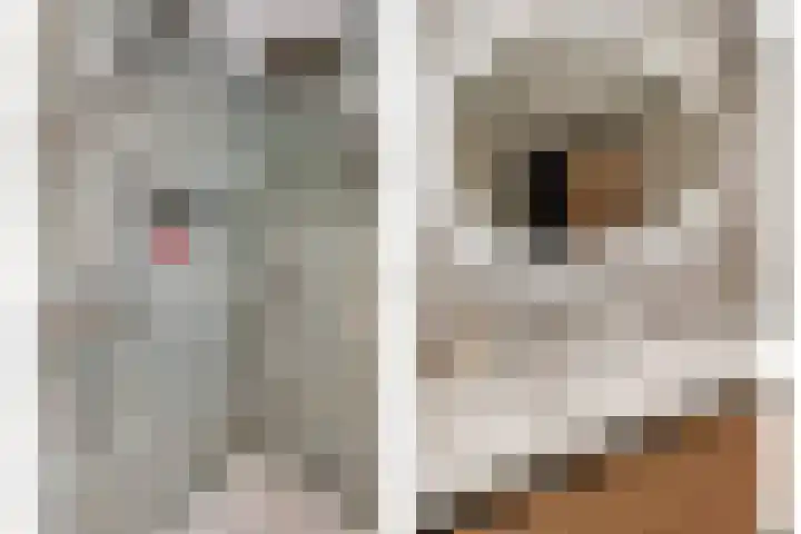 Witte Emille 7 Huissen thumbnail 14