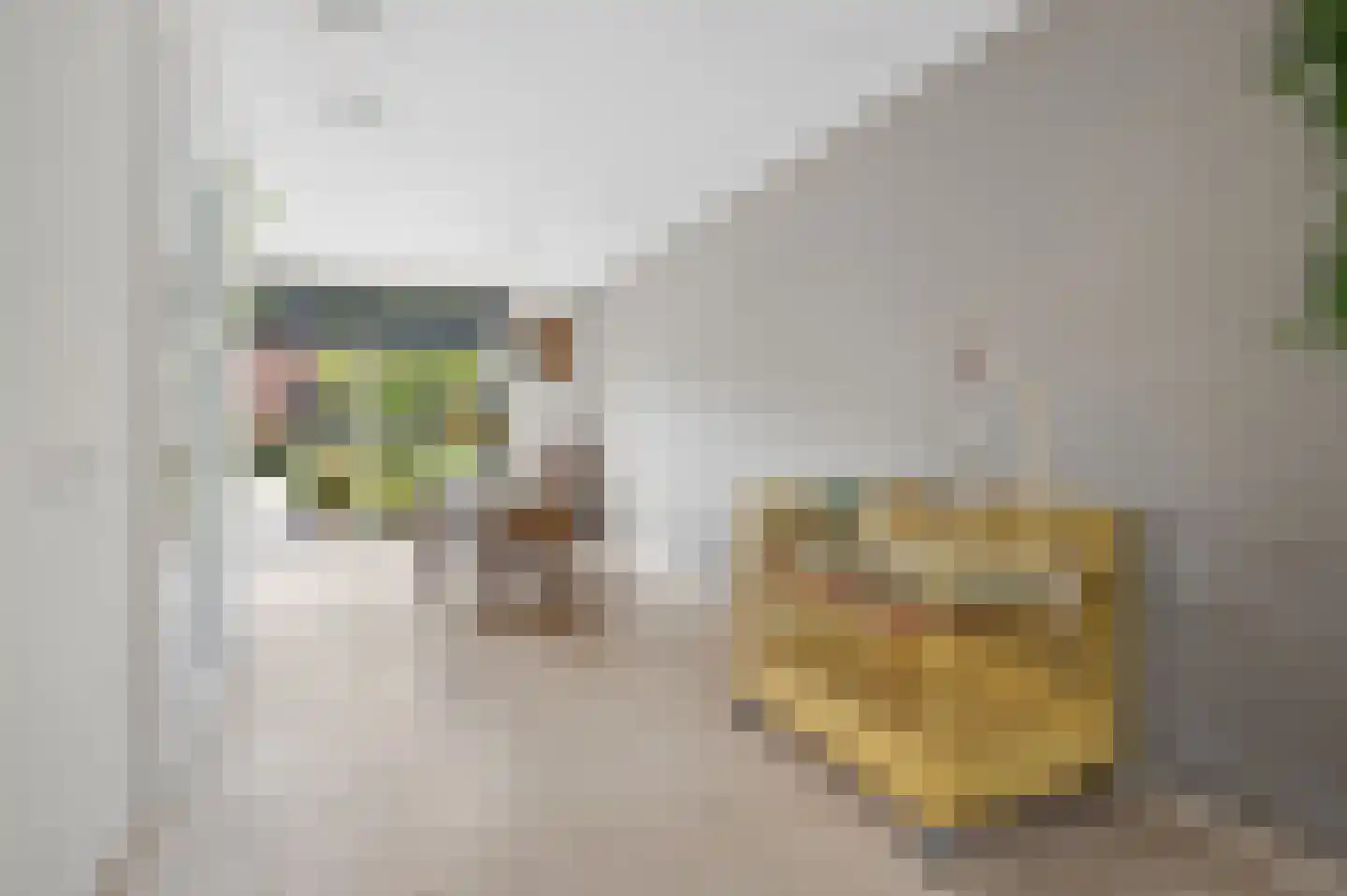Witte Emille 7 Huissen thumbnail 14