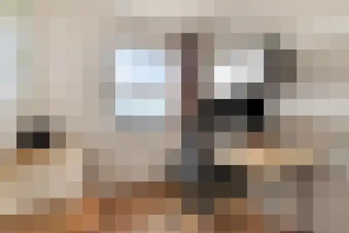 Witte Emille 7 Huissen thumbnail 17