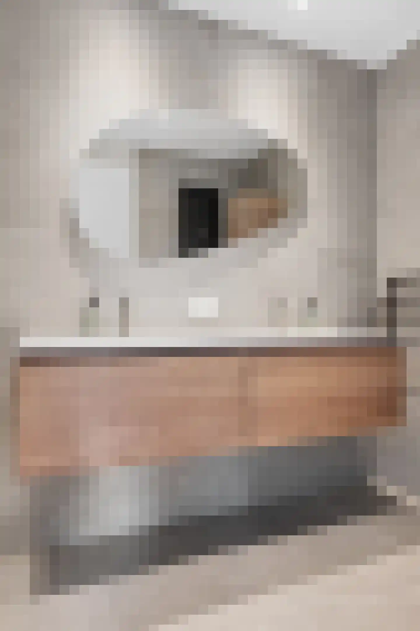 Witte Emille 7 Huissen thumbnail 26
