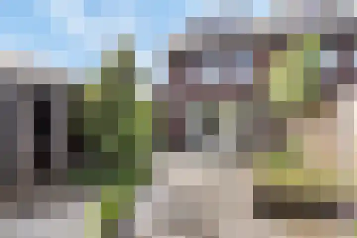 Witte Emille 7 Huissen thumbnail 27