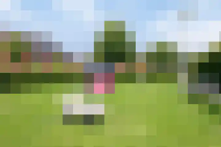 Witte Emille 7 Huissen thumbnail 35