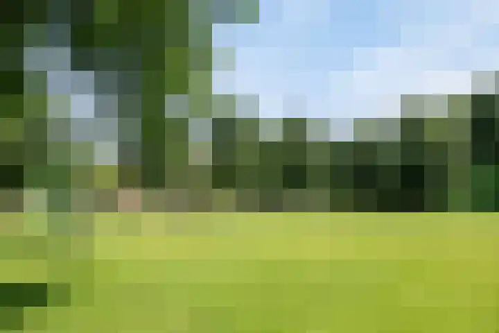 Witte Emille 7 Huissen thumbnail 36