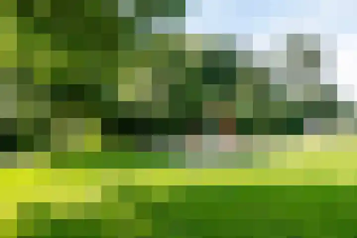 Witte Emille 7 Huissen thumbnail 37