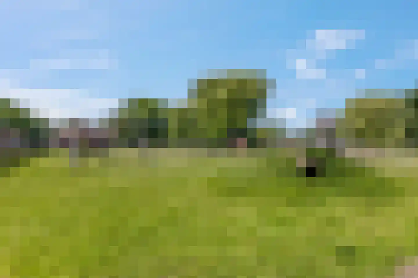 Witte Emille 7 Huissen thumbnail 49