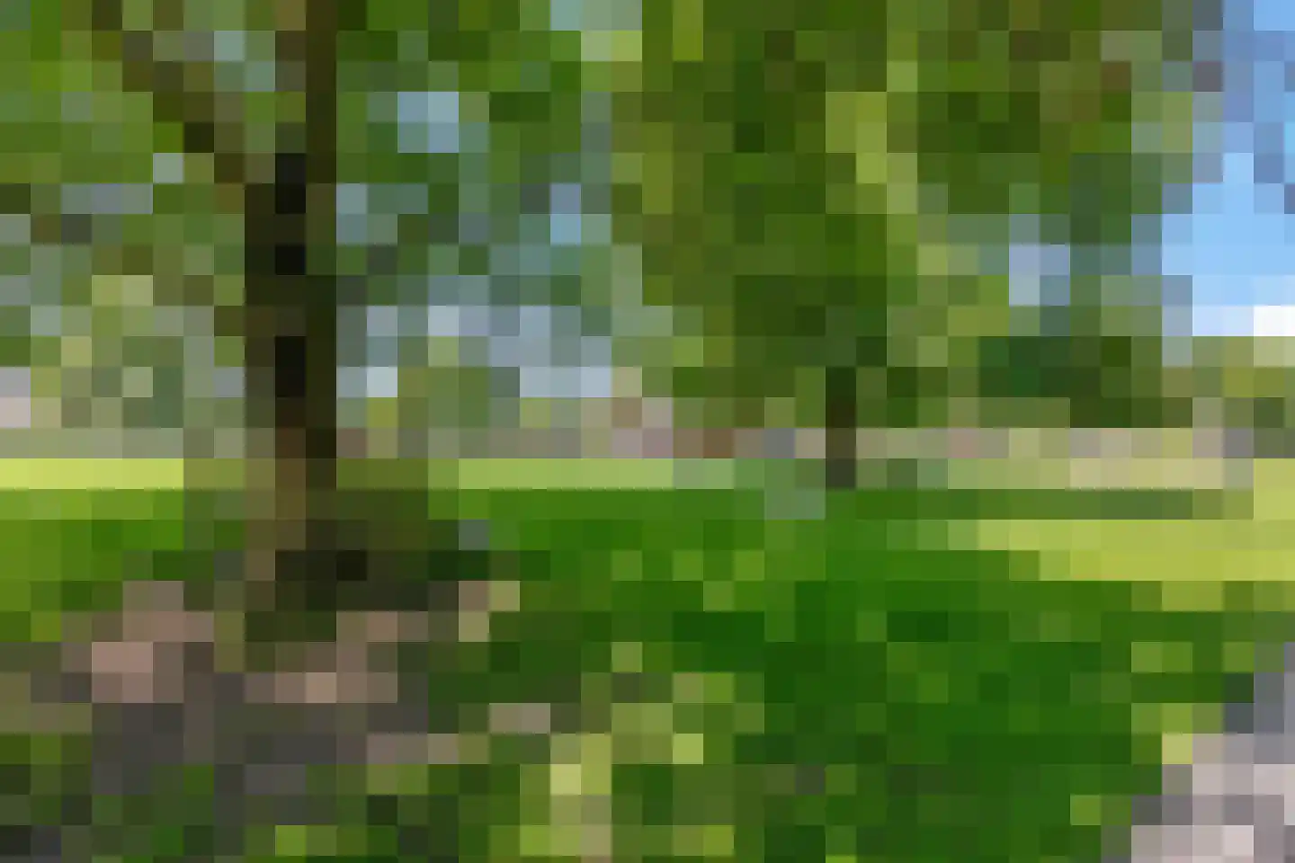 Witte Emille 7 Huissen thumbnail 50