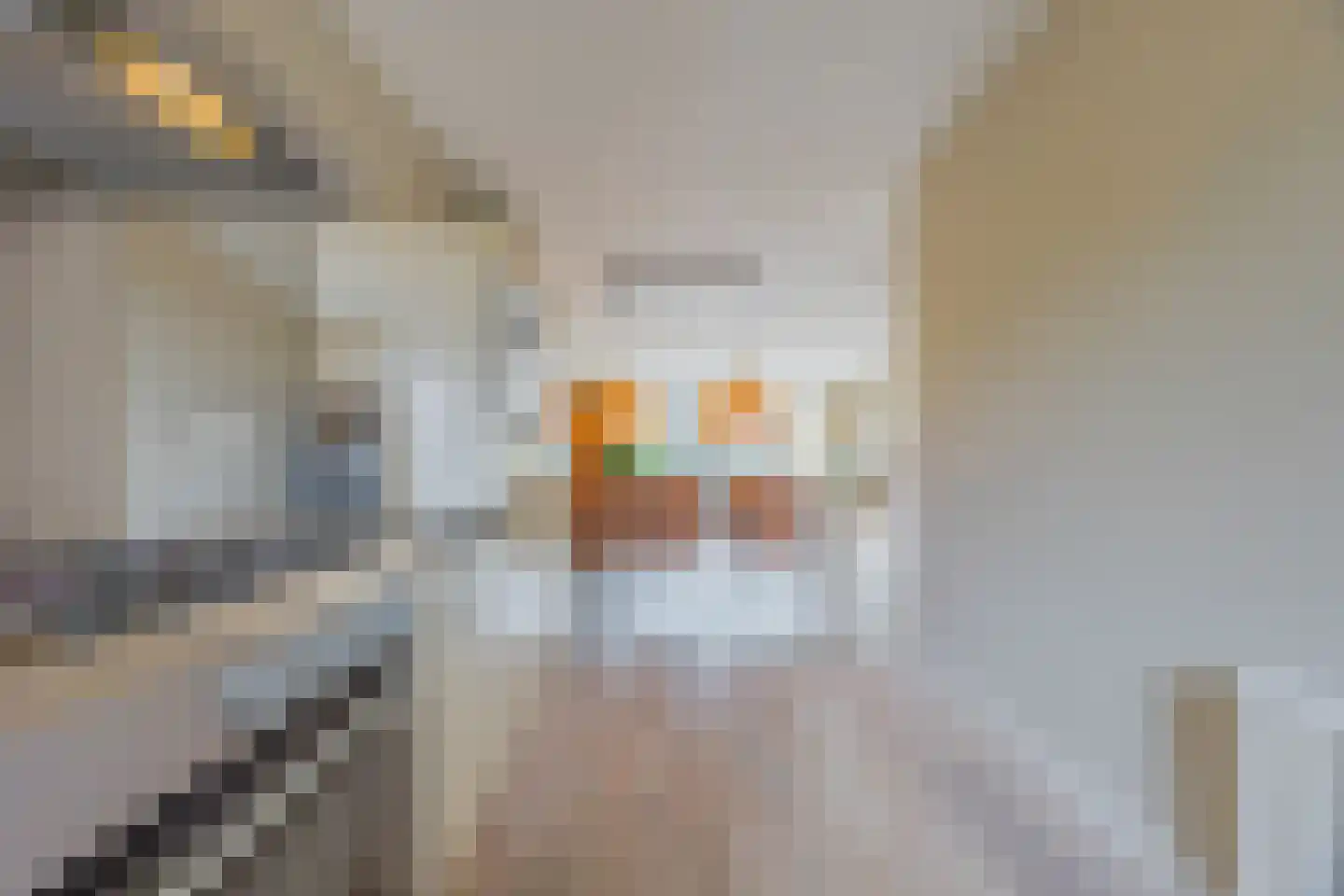 Witte Emille 8 Huissen thumbnail 15