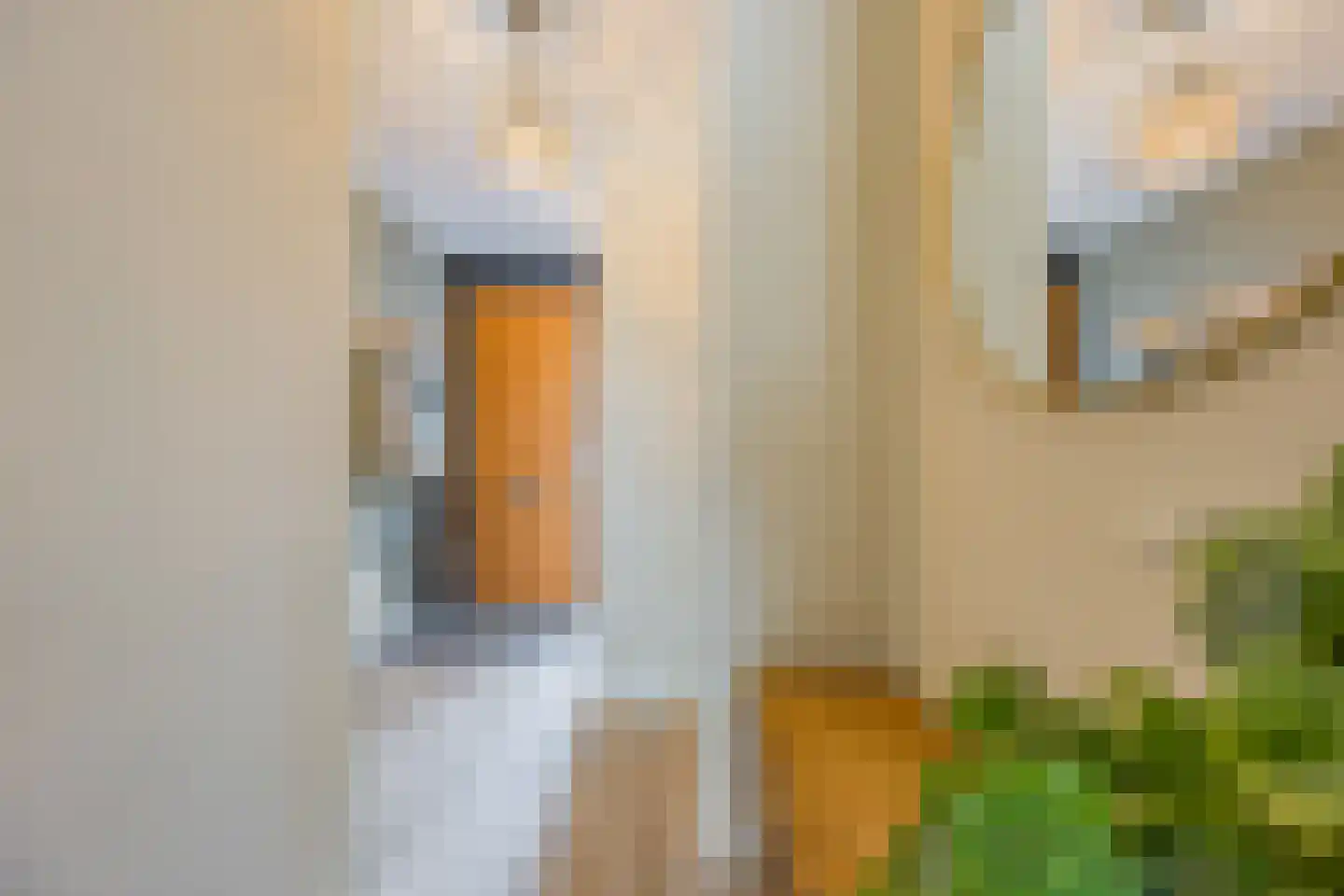 Witte Emille 8 Huissen thumbnail 5