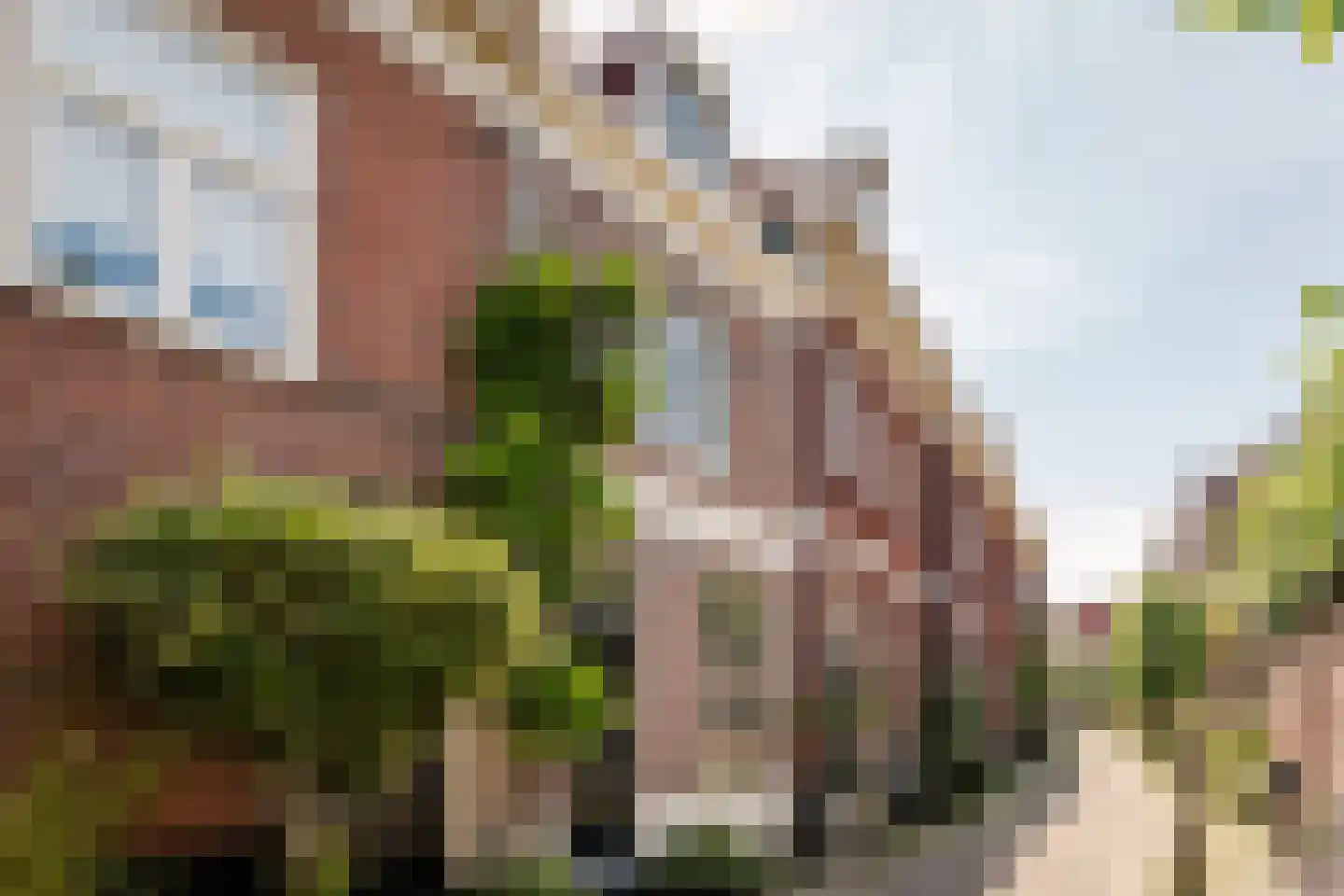 Witte Herenstraat 21 Haarlem thumbnail 31