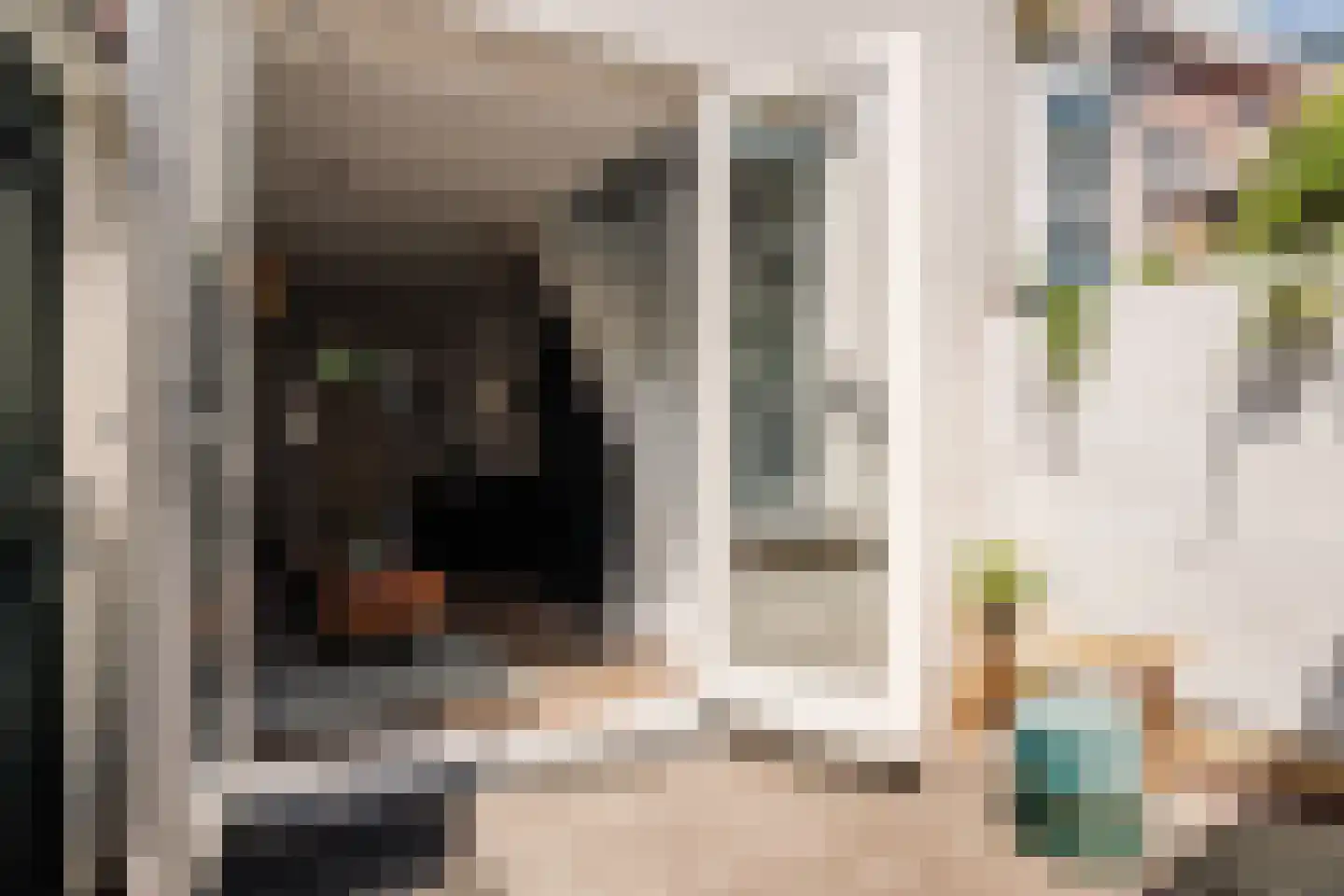 Witte Herenstraat 21 Haarlem thumbnail 4