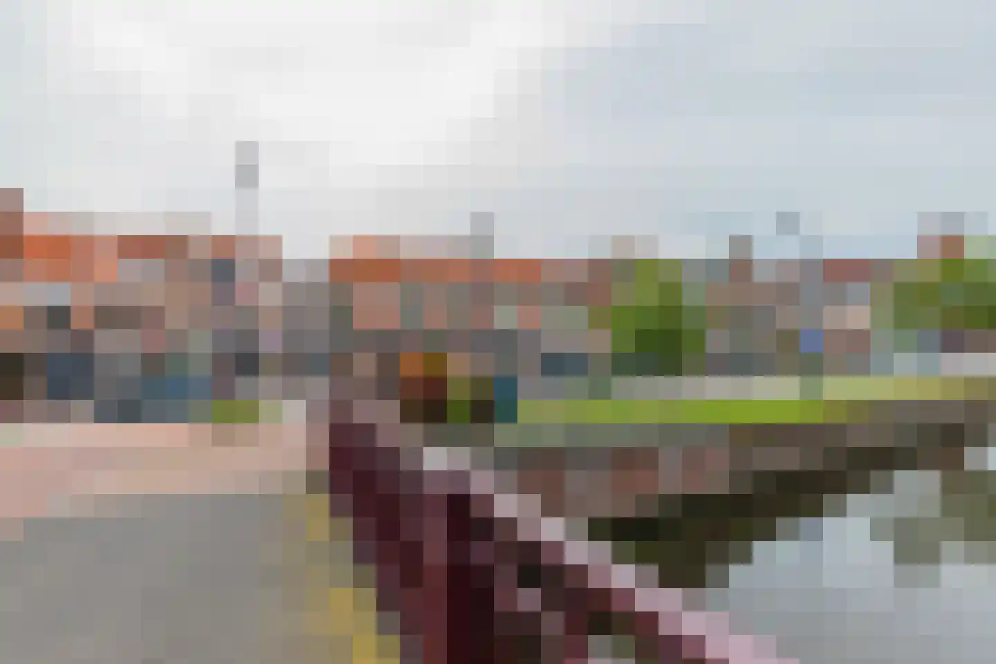 Witte Herenstraat 47 RD Haarlem thumbnail 25