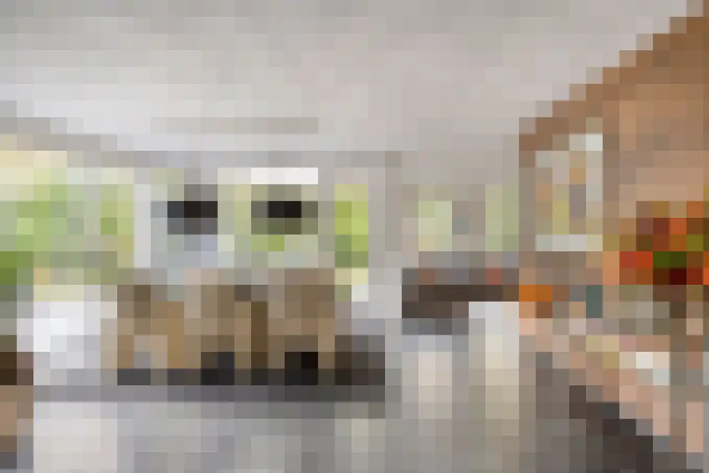 Witte Hoeflaan 11 Oss thumbnail 14