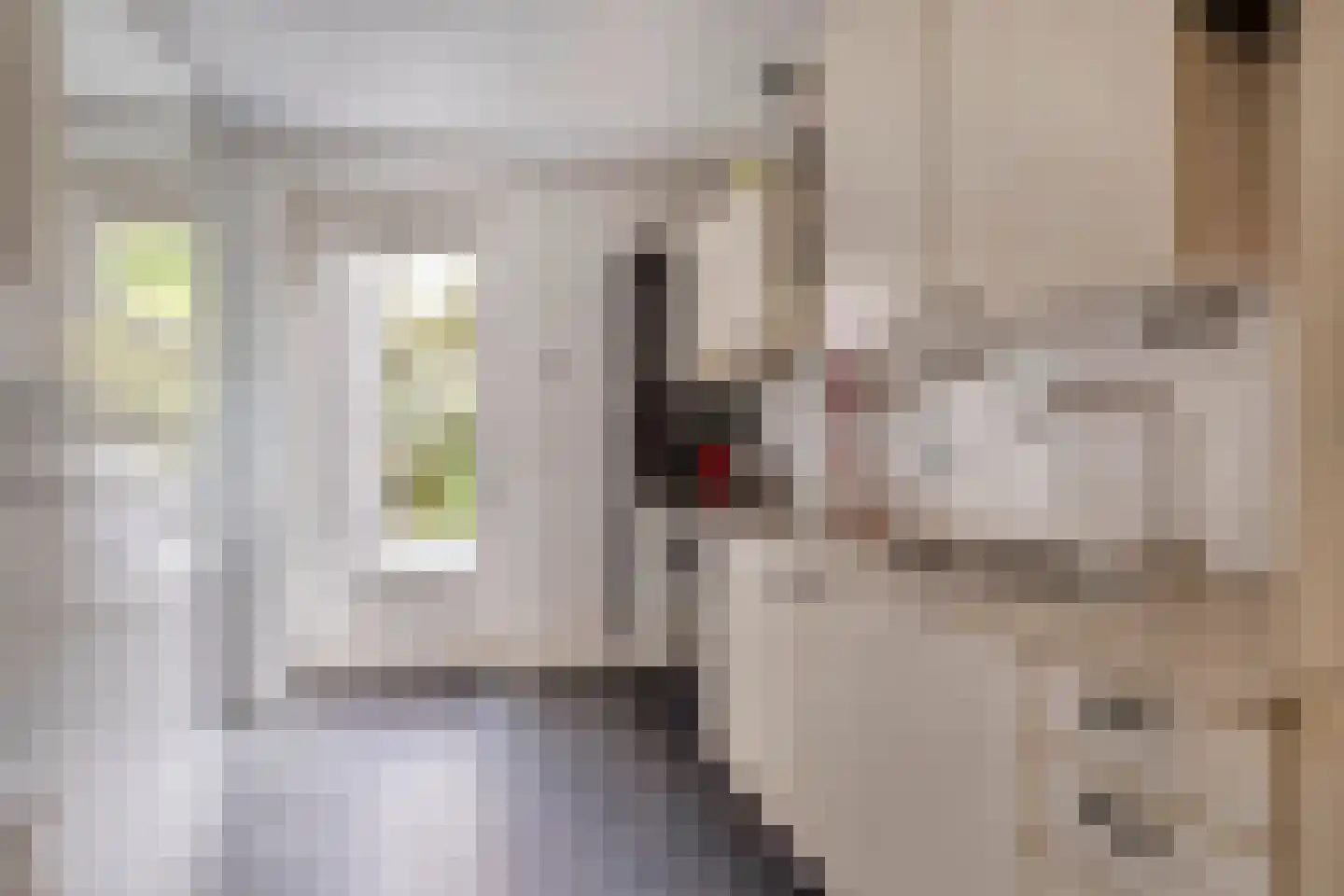 Witte Hoeflaan 11 Oss thumbnail 25