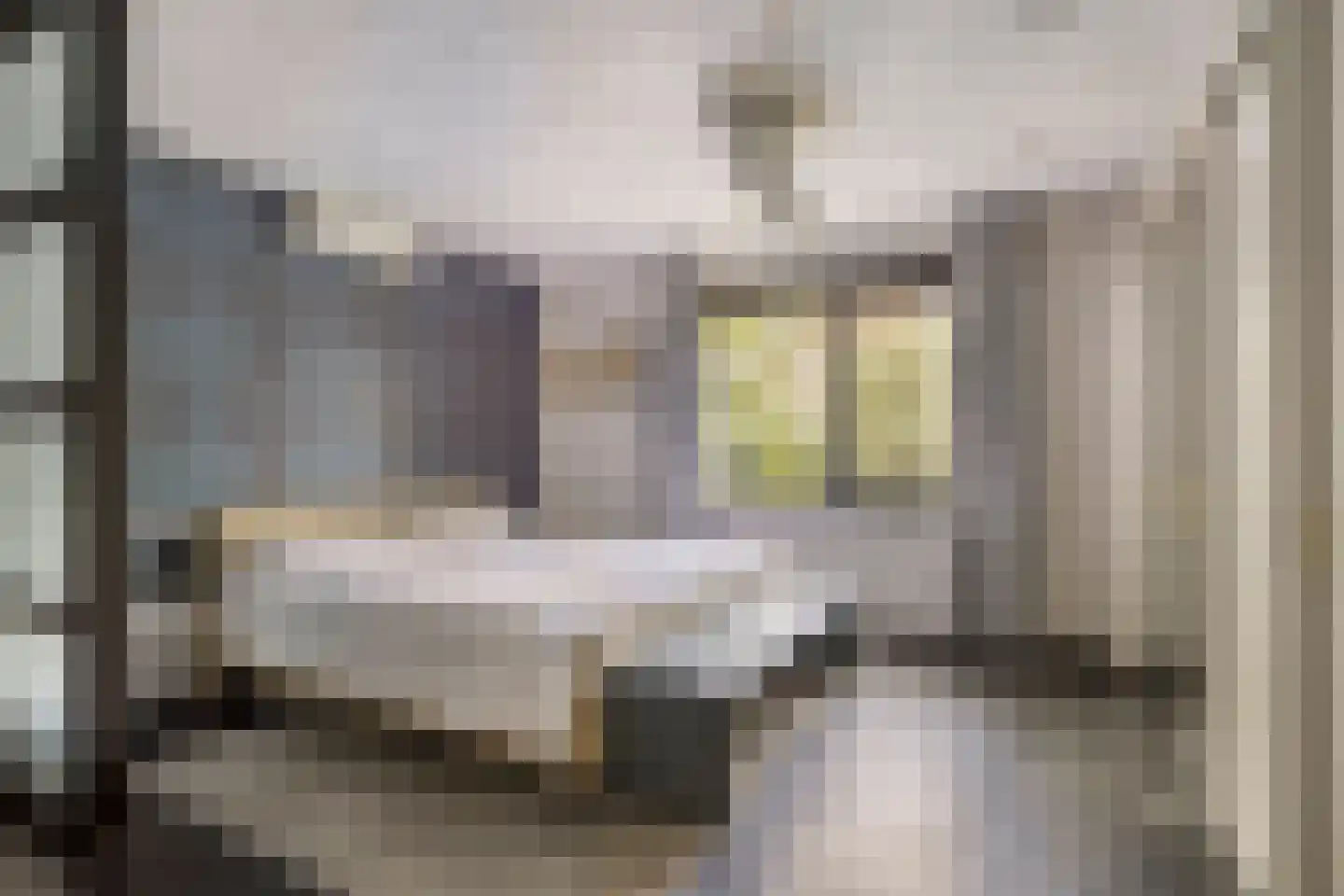 Witte Hoeflaan 11 Oss thumbnail 28