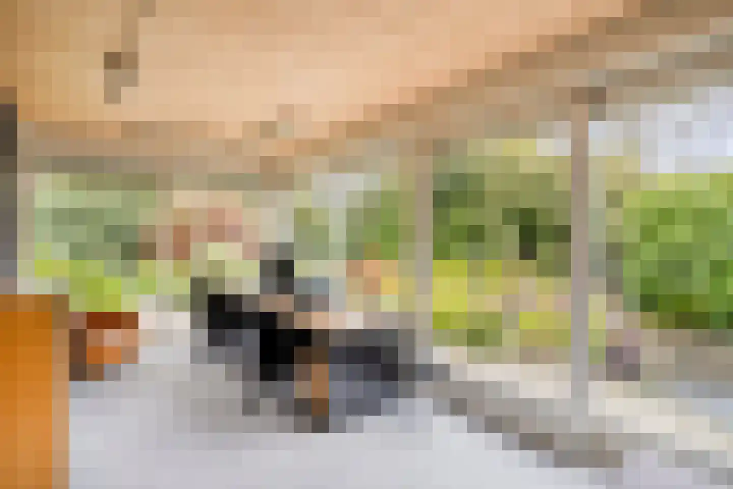 Witte Hoeflaan 11 Oss thumbnail 39