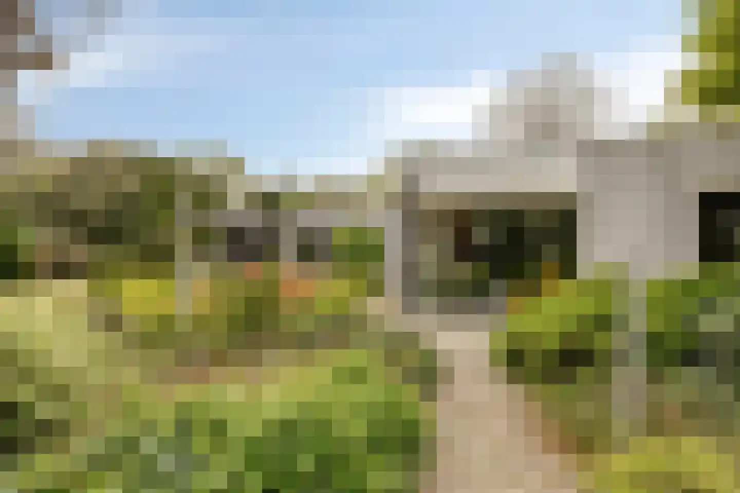 Witte Hoeflaan 11 Oss thumbnail 49