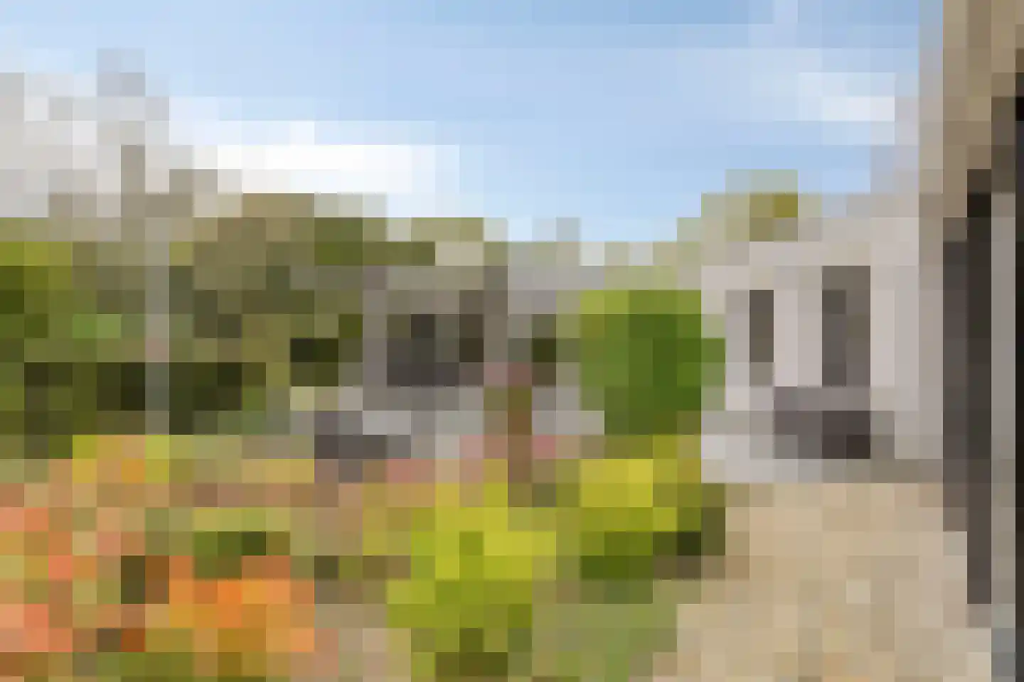 Witte Hoeflaan 11 Oss thumbnail 50