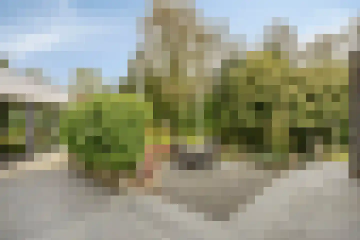 Witte Hoeflaan 11 Oss thumbnail 51