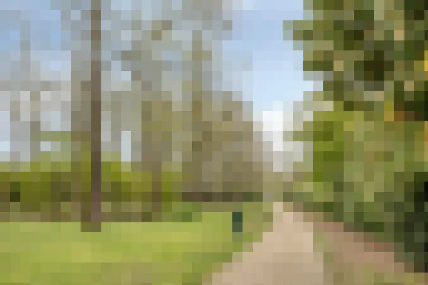 Witte Hoeflaan 11 Oss thumbnail 58