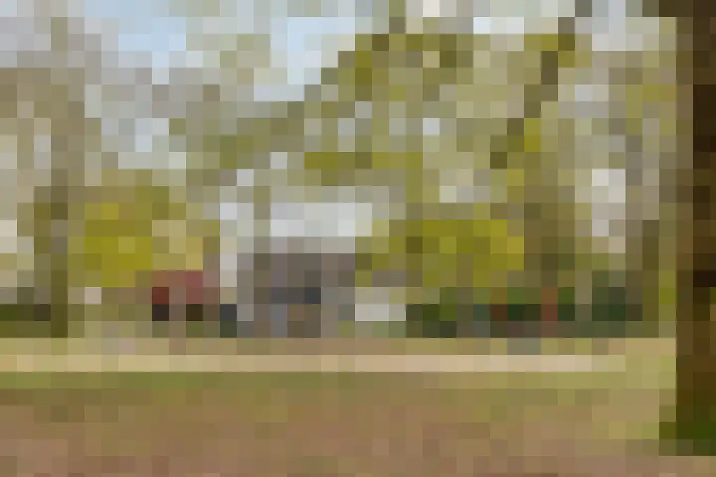 Witte Hoeflaan 11 Oss thumbnail 59