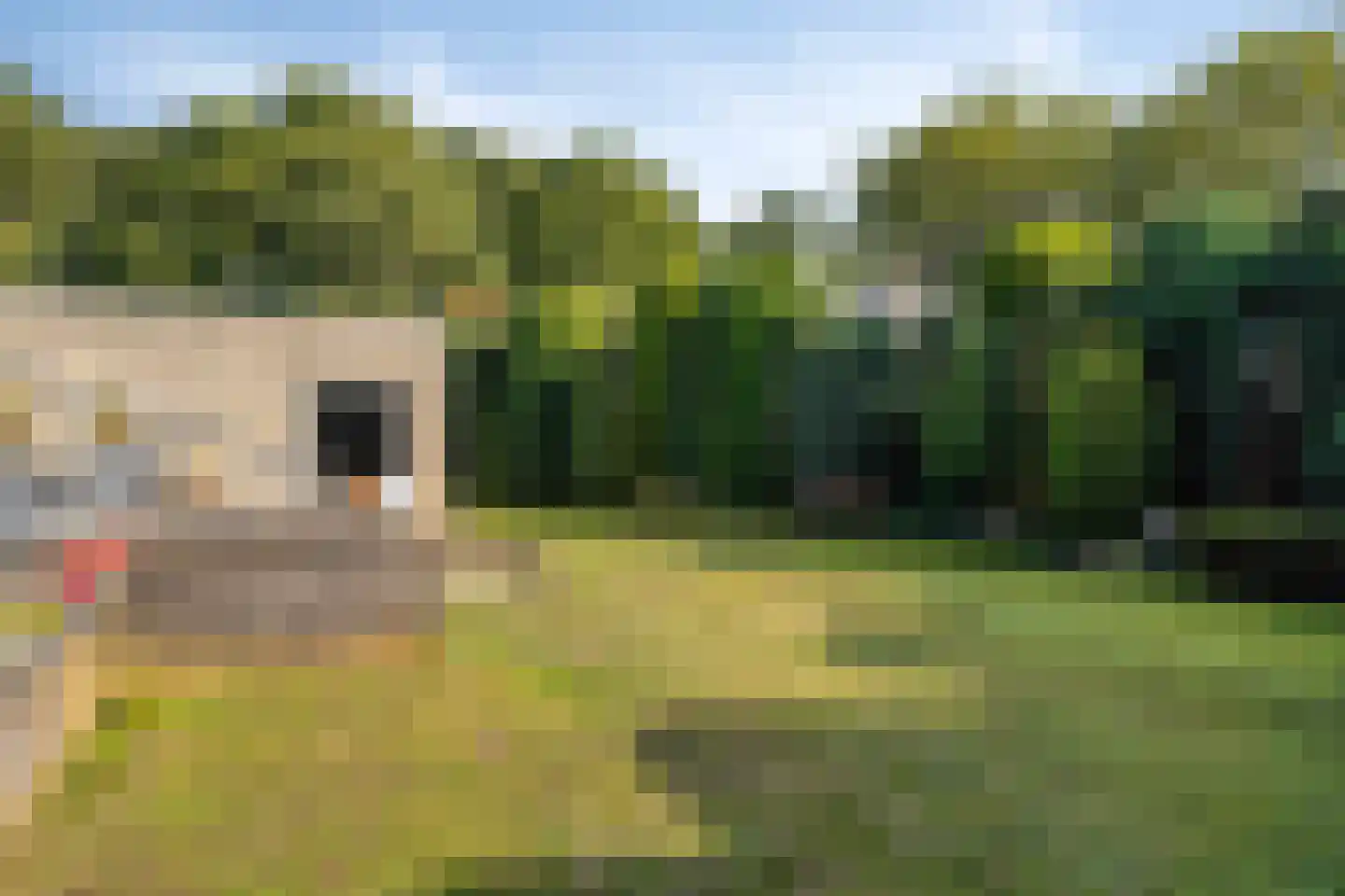 Witte Hoeflaan 63 Oss thumbnail 25