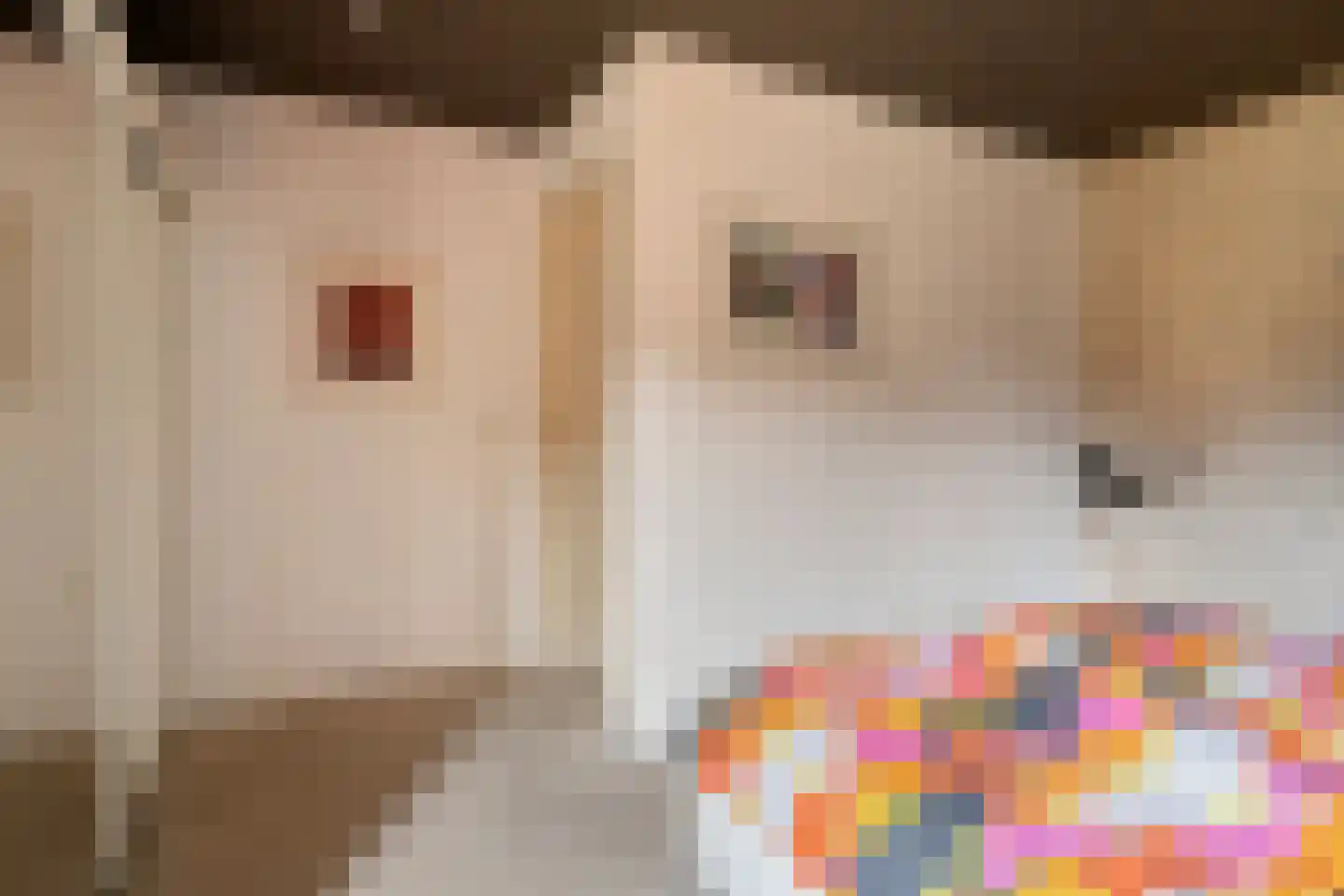 Witte Hoeflaan 63 Oss thumbnail 28