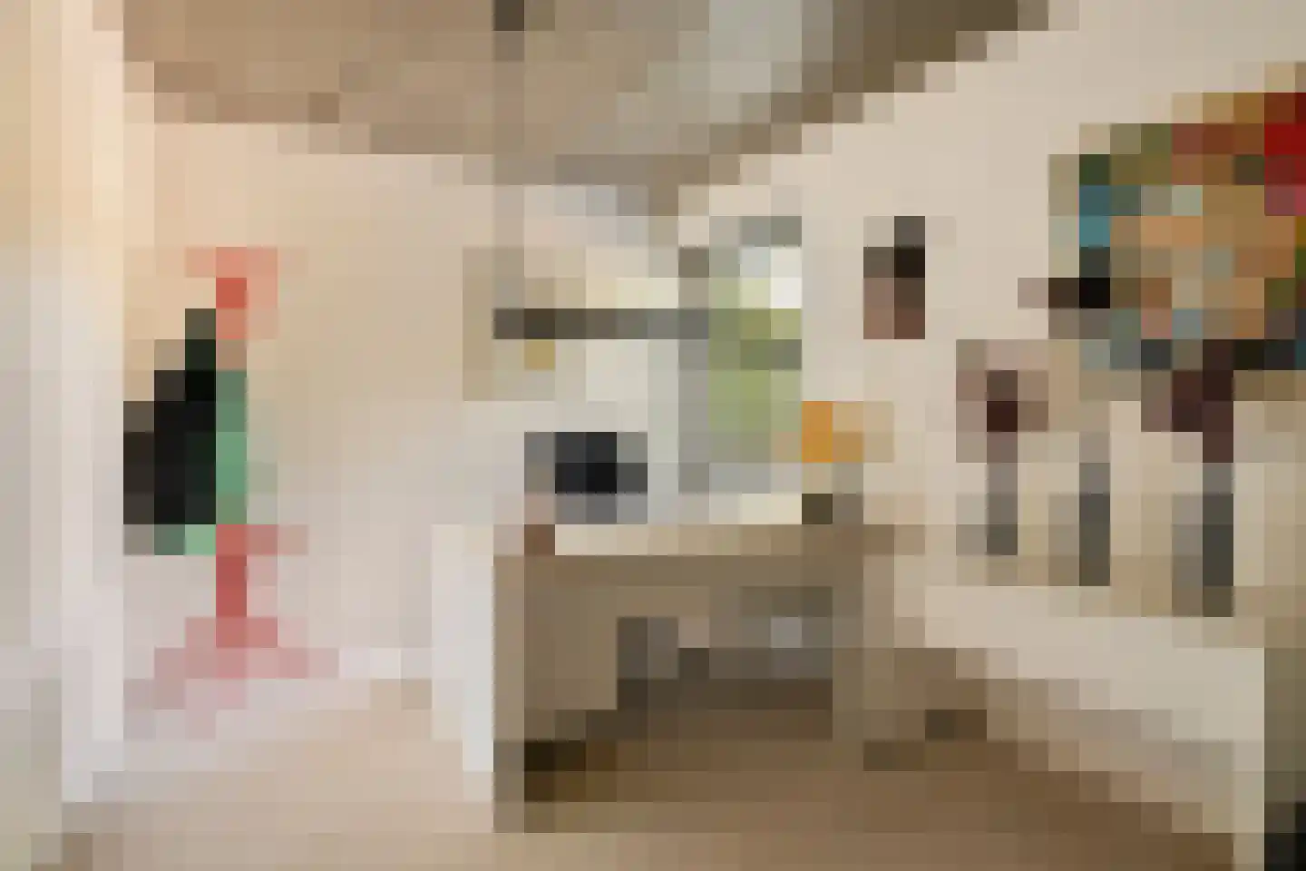 Witte Hoeflaan 63 Oss thumbnail 34