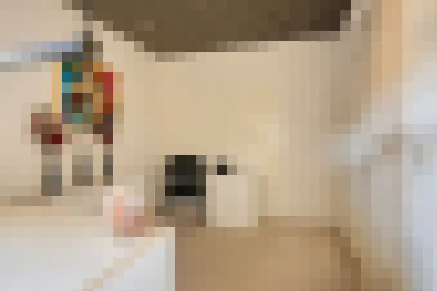 Witte Hoeflaan 63 Oss thumbnail 38
