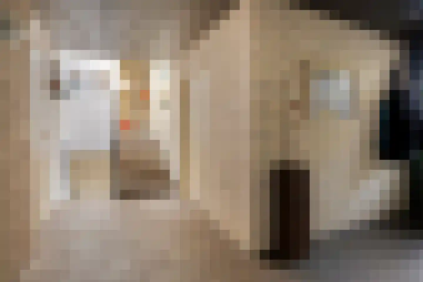 Witte Hoeflaan 63 Oss thumbnail 40