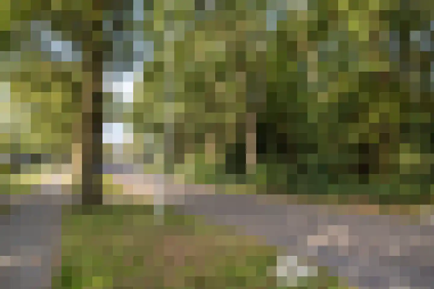 Witte Hoeflaan 63 Oss thumbnail 43