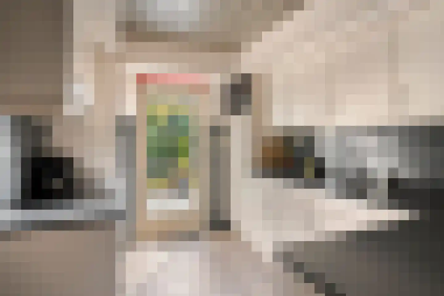 Witte Hoeflaan 63 Oss thumbnail 9