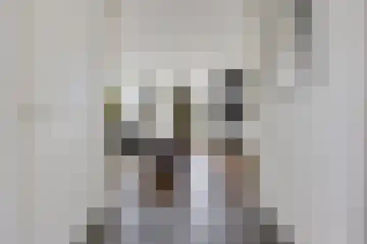 Witte Hoeflaan 9 Oss thumbnail 12